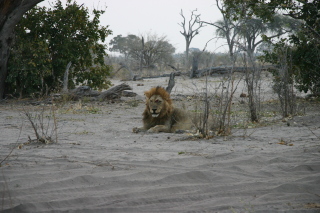 �t���[��