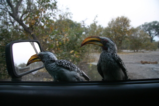 �t���[��