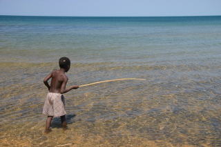 �t���[��