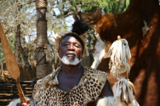 �t���[��