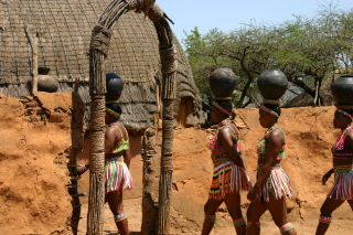 �t���[��