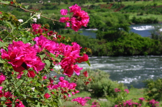 �t���[��