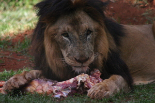 �t���[��