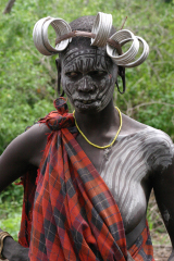 �ޏ��A�X�ɋA��