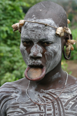 �t���[��