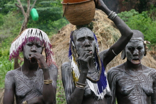 �t���[��