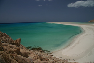 �\�R�g�����̊C