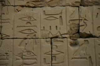 �Ñ�G�W�v�g�̏ی`����