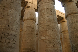 �J���i�b�N�_�a�̑��