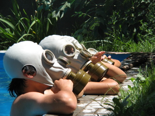 �r�V���P�N�̗d�������A�v�[���ɓ���