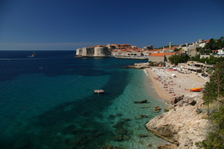 �h�u�����j�N���s�X�𒭂߂�