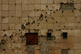 �T���G�{�̕�����