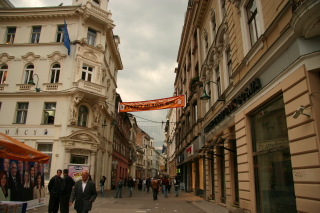 �T���G�{�̊X����