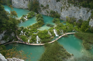 �v���g���B�b�c�F�ΌQ���������A