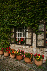 �X���x�j�A�̉�