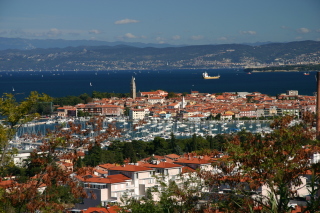 �C�]���̕��i