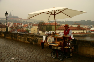 �v���n�E�J������