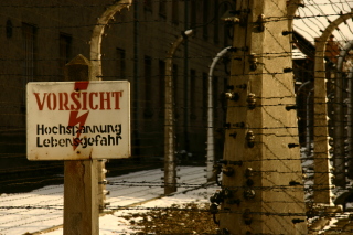 �A�E�V���r�b�c���e��