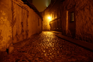 �G�X�g�j�A�E�^�������s�X