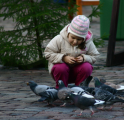 �n�g�ƋY��鏭��