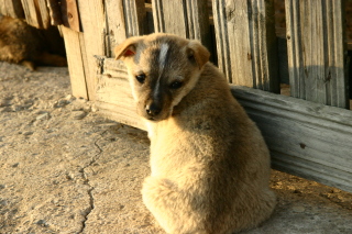 �t���[��