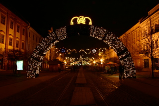 �R�V�c�F�̃N���X�}�X�E�}�[�P�b�g