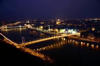 �u�_�y�X�g�̖�i�E�y�X�g��