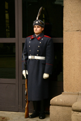 �u���K���A�E�\�t�B�A�ɂ����q��