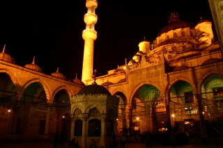 �t���[��