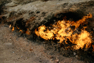 �R����R�w���i���E�_�O�x