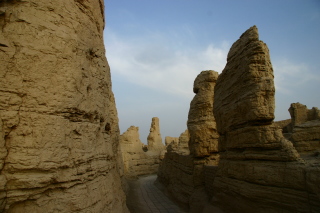 ���͌̏� in �g���t�@��