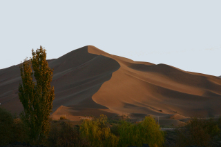 �t���[��