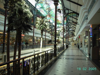 �t���[��